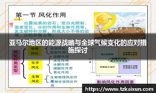 亚马尔地区的能源战略与全球气候变化的应对措施探讨